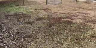 16701 86th Street N unit: One Gallery 15