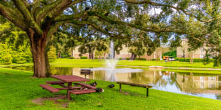 Laurel Oaks Gallery 24