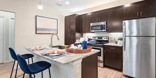 Citra at Windermere Gallery 36