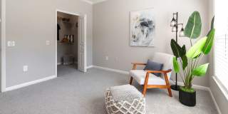 Elevate 155 Gallery 8