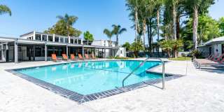 The Grove The Grove Gallery 11