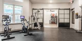 Lector 85 Gallery 27