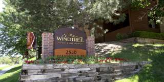 Windtree Gallery 21