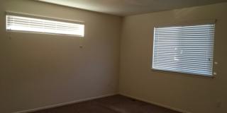 831 Lakebrook Court Gallery 13