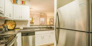 Merritt at Sugarloaf Gallery 18