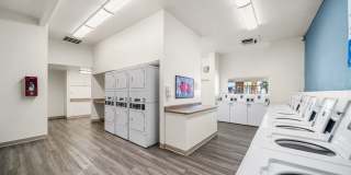 Desert Springs Gallery 21