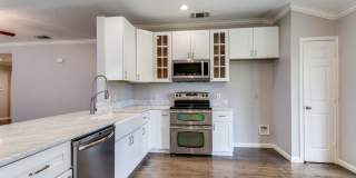 RENOVATED 3-BEDROOM IN PEBBLE OAK, NORTH EAST ISD Gallery 12