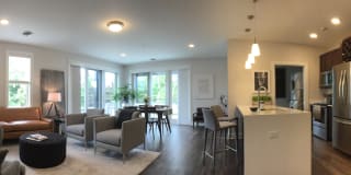 Empire Run Gallery 5