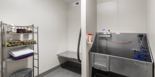 Sierra Pointe Gallery 24