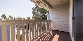 1202 Pearl Gallery 5