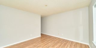 8133 Maple Stream Lane Gallery 14