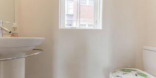 133 SALTER STREET Gallery 5