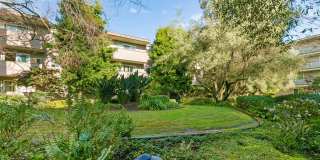 Bella Vista on Bancroft Gallery 26