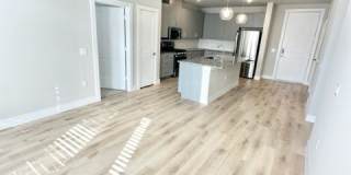 8421 183A Gallery 4