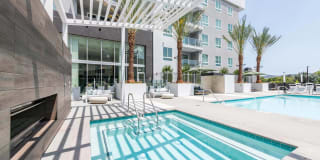 Essence Essence Gallery 36