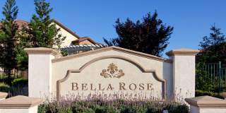 Bella Rose Gallery 1