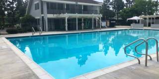 33055 Dolphin Court Gallery 10