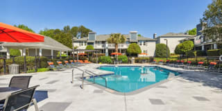 Palmetto Place Palmetto Place Gallery 4