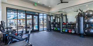 Jasper at Victory Ridge Gallery 11