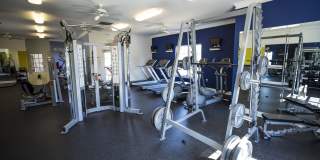 Reserve at Park West Gallery 36