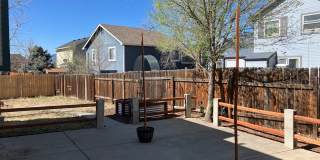 4 Bedroom Home Available Near COS Airport! Gallery 20