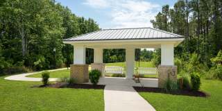 Hawthorne at Pine Forest Gallery 36