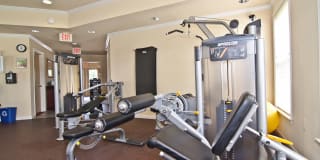 Saratoga Square Gallery 12