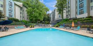 The Whitney Gallery 13