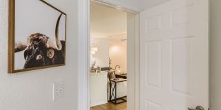 Fully Furnished 3 Bedroom near Greenbelt in Southeast Austin- Easy Access to 35! Gallery 20