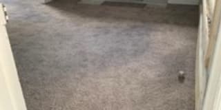 10002 Manor Street - 1 Gallery 1