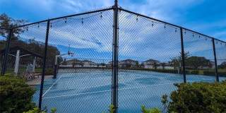 12860 SATIN LILY Drive Gallery 49