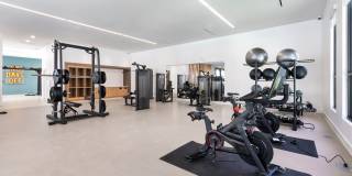 The Amber Gallery 32