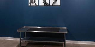 Fireside at Waukee Gallery 52