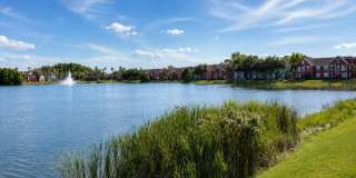 9160 LAKE CHASE ISLAND WAY 9160 LAKE CHASE ISLAND WAY Gallery 26