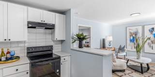 Newly Remodeled 1 Bedroom Apartment Gallery 4