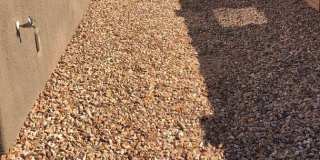 Pantano Vista Gallery 51