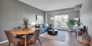 The Sixton Apartments Gallery 3