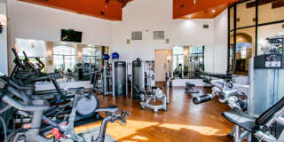 San Tropez Gallery 10