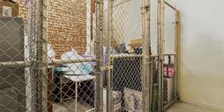1627 Locust Street Gallery 36