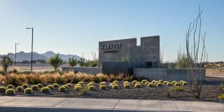 Acero Harvest Station Gallery 28