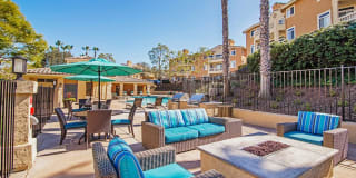 Sofi Canyon Hills Gallery 24