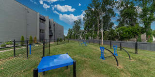 Vetra Lexington Gallery 17