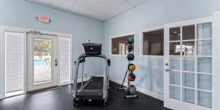 Sea Oats Sea Oats Gallery 56