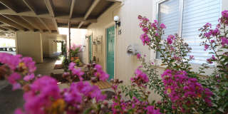 2305 Cheim Boulevard Gallery 6