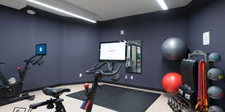 Top of The Mount Gallery 12