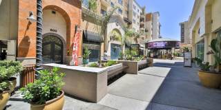 Beautiful 3 Bed/ 2.5 Baths Condo Gallery 1