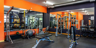 The Murals of LynLake Gallery 13