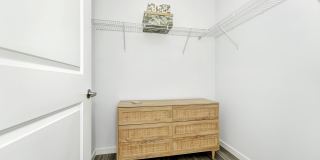 NOVO Avian Pointe Gallery 35