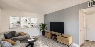 Rise Biltmore Gallery 37