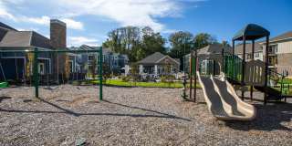 Lake Taylor Pointe Gallery 69